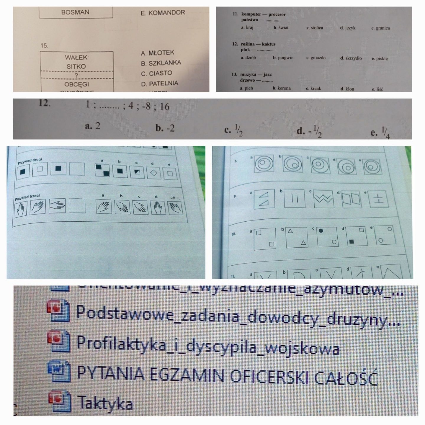 Testy Matryc Ravena 7 wersji Testy do służb mundurowych