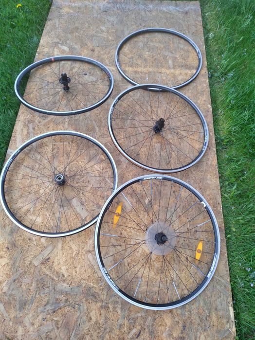 Kola Dt Swiss R 460  , Giant