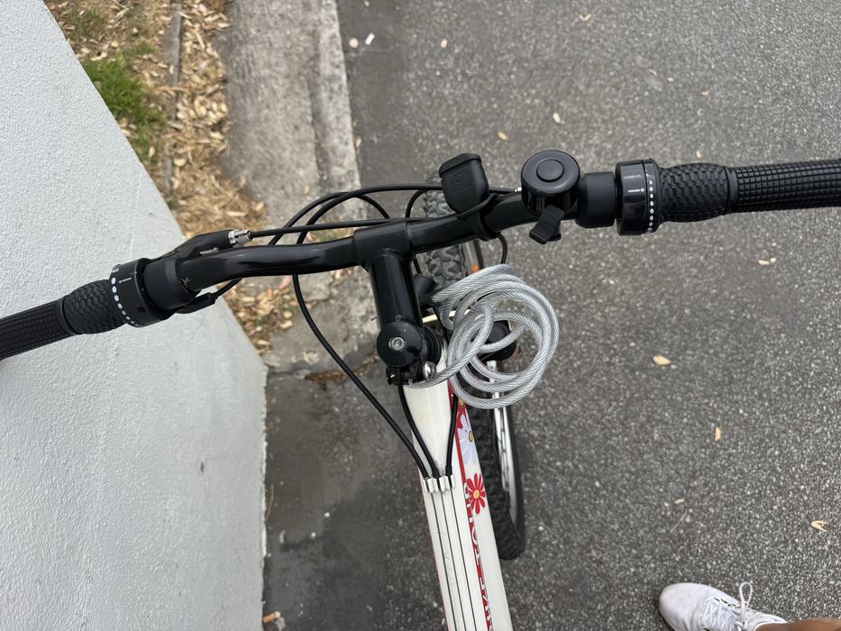 Bicicleta Adulto