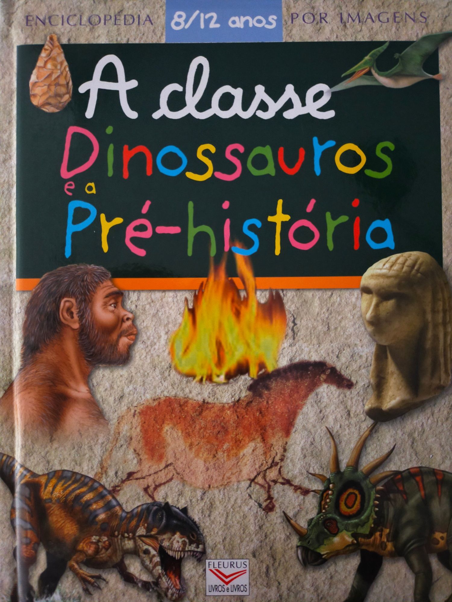 Enciclopédia por imagens 8-12 anos
Dinossauros e a Pré-história