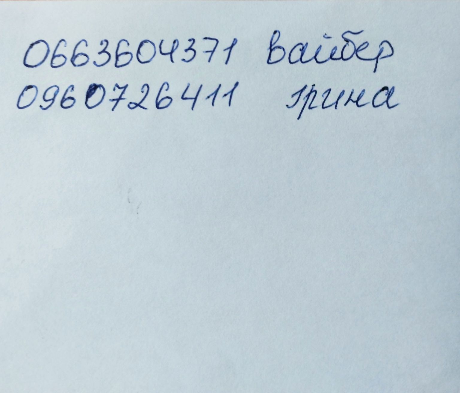 Шаровидні хризантема мультифлора