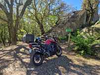 Triumph Tiger 1200 Explorer: A Fera Vermelha das Estradas e Trilhos