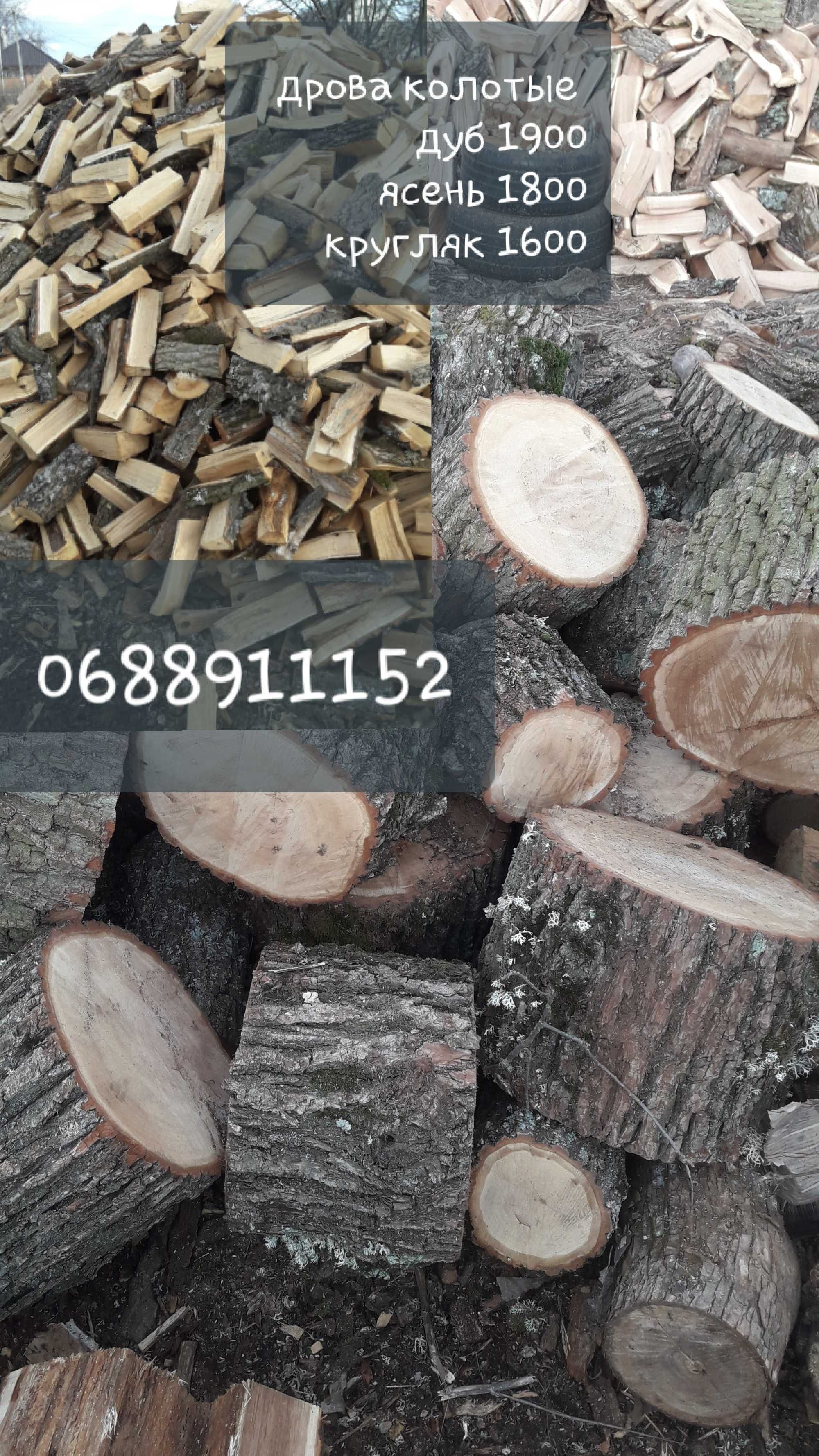 Дрова твердих порід від 1700