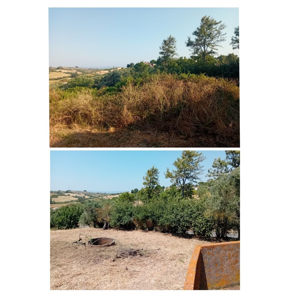 Limpeza de terrenos e quintais