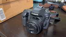 Canon EOS 80D + 50mm 1:1.8 STM
