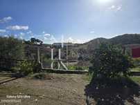 Casa em ruína com muito potencial inserida num terreno com 5920 m2