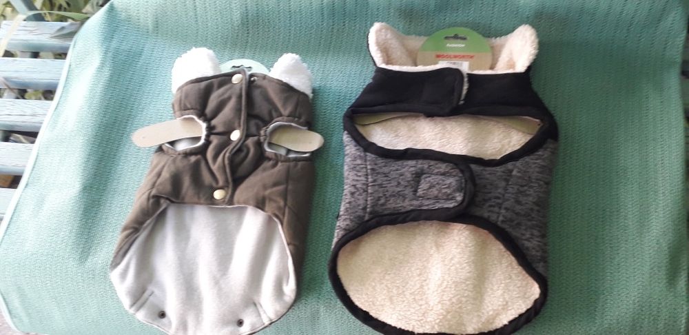 Одежда для собак.