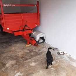 Reboque agrícola tribasculante - Agrovil