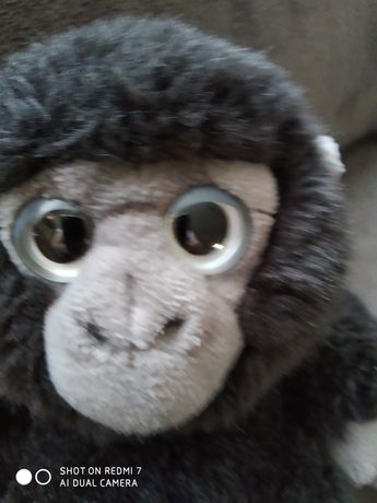 Małpka zwierzątko Wild Republic kolekcja