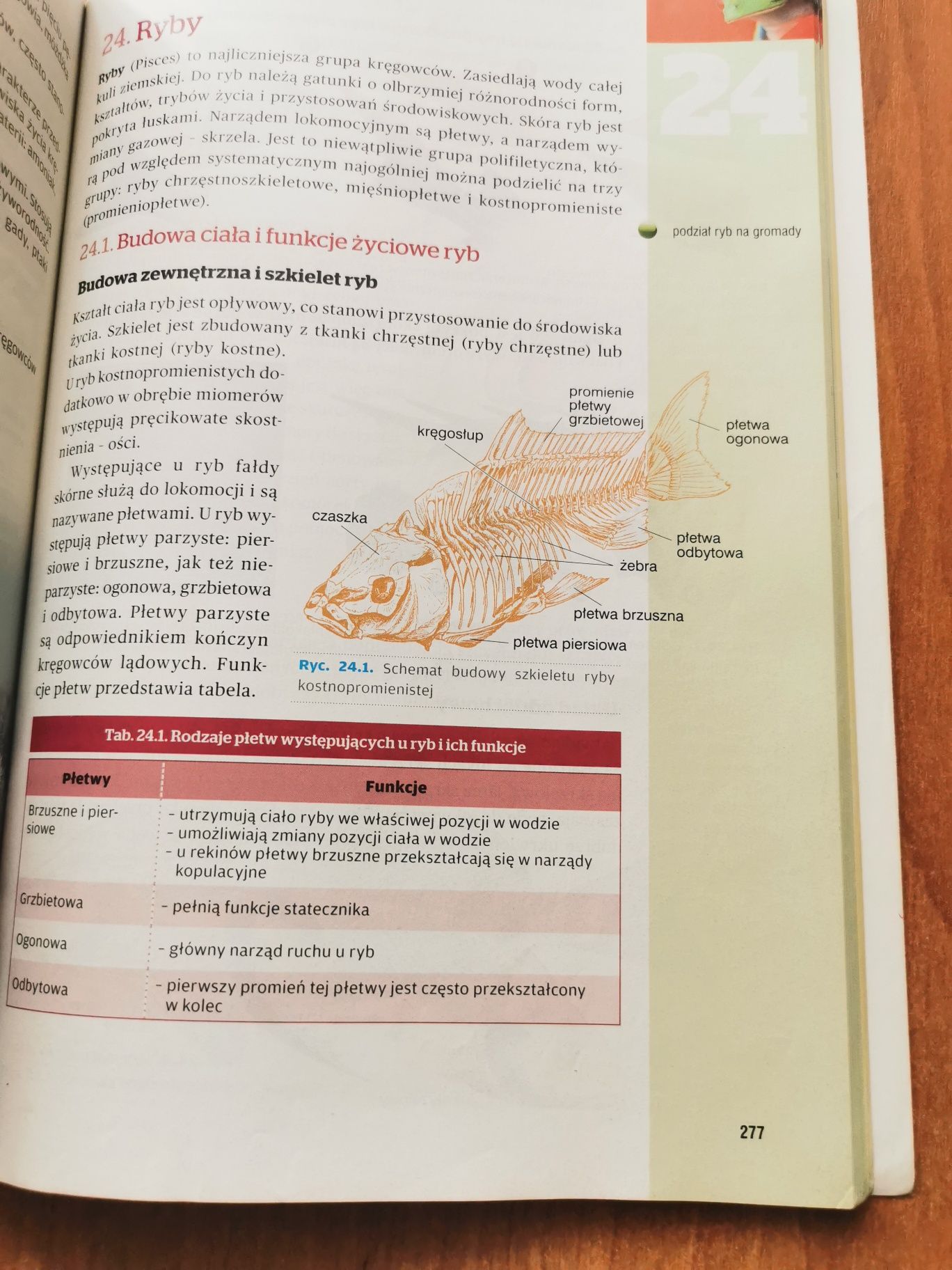 Podręcznik Biologia 1 zakres rozszerzony Operon