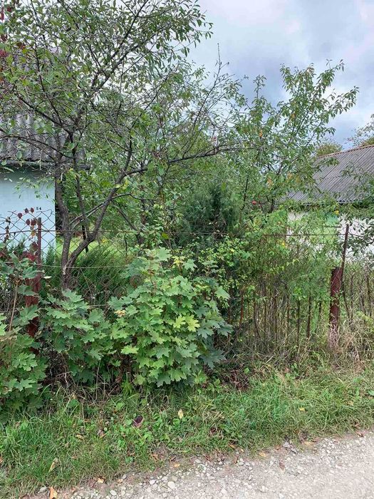 Продаж земельної ділянки Опришівці!!!