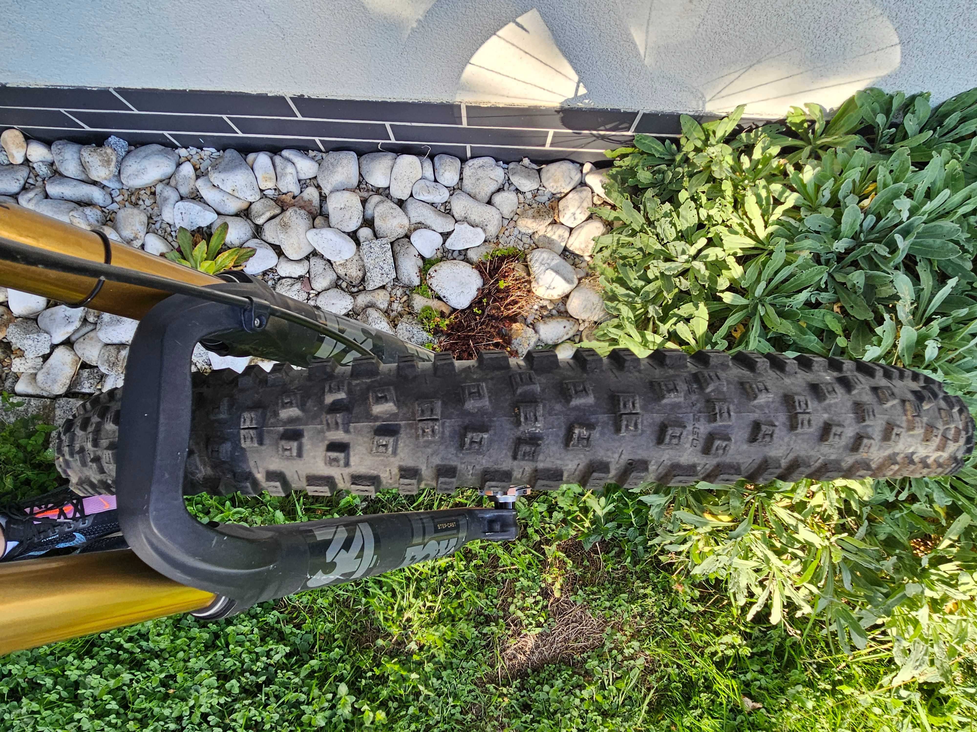 Rower MTB: NS Synonym TR1
