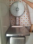 Balança profissional