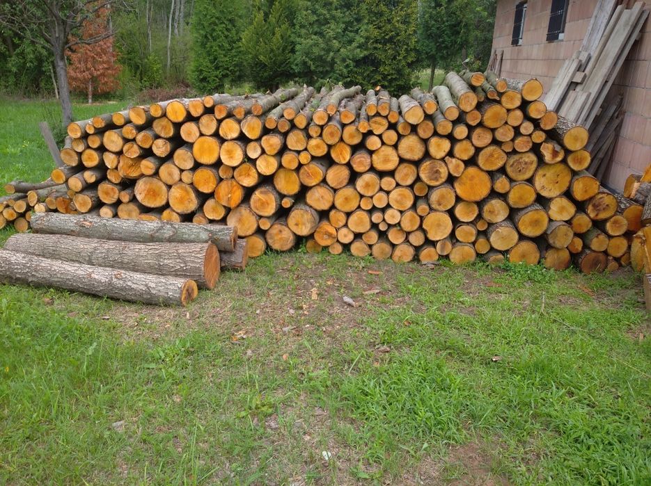 Olcha gruba ~11mp -  na deski, do wędzenia i na opał