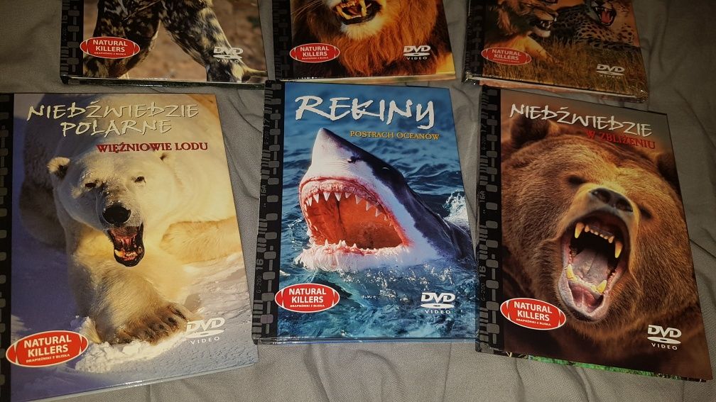 Niedźwiedzie, Rekiny, Lwy, Likaony filmy DVD nowe