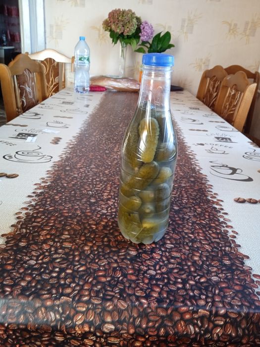 Ekologiczne kiszone ogórki