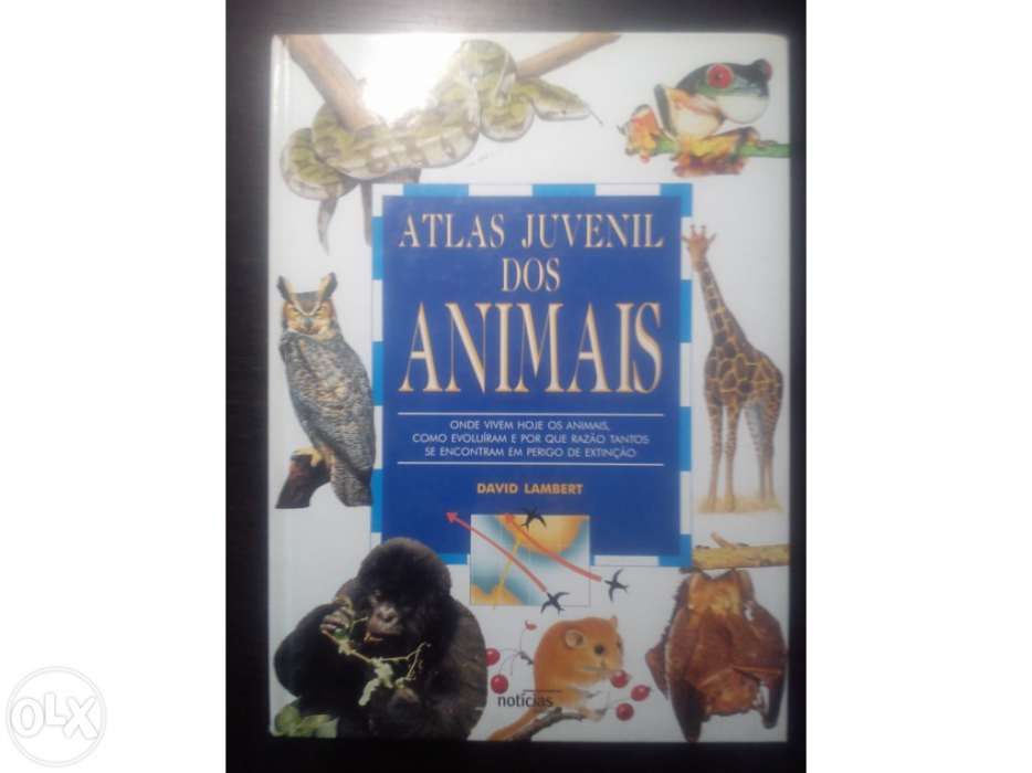 Atlas Juvenil dos Animais - David Lambert