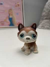 Littlest Pet shop Husky figurka Lps