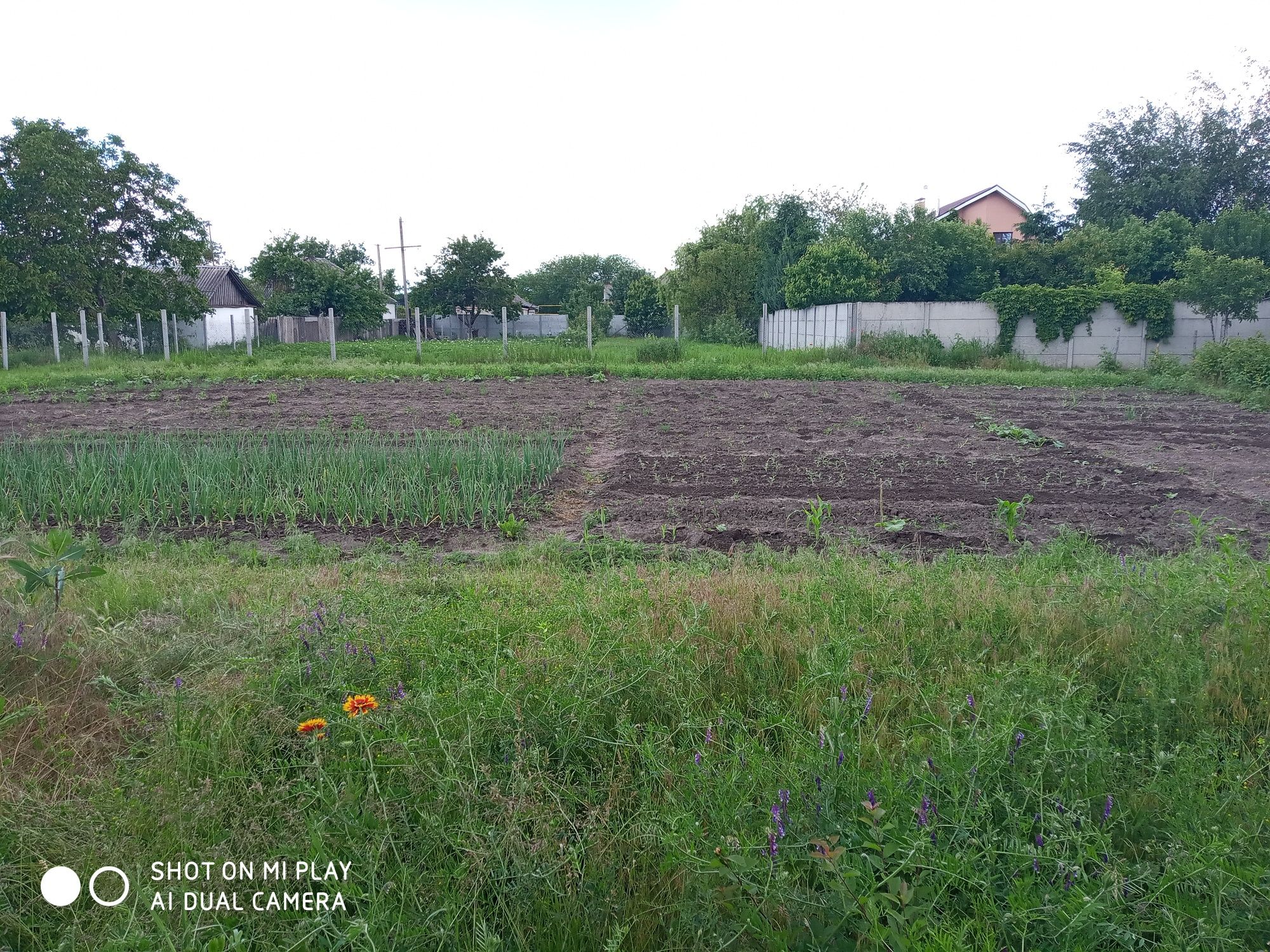 Продам дом с удобствами в с. Орловщина (курортная зона).