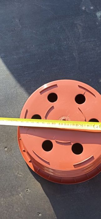 Chryzantemy  misy fi 21