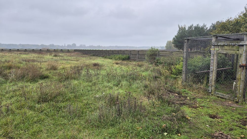 Sprzedam nieruchomość w Świątkowicach gm Baruchowo