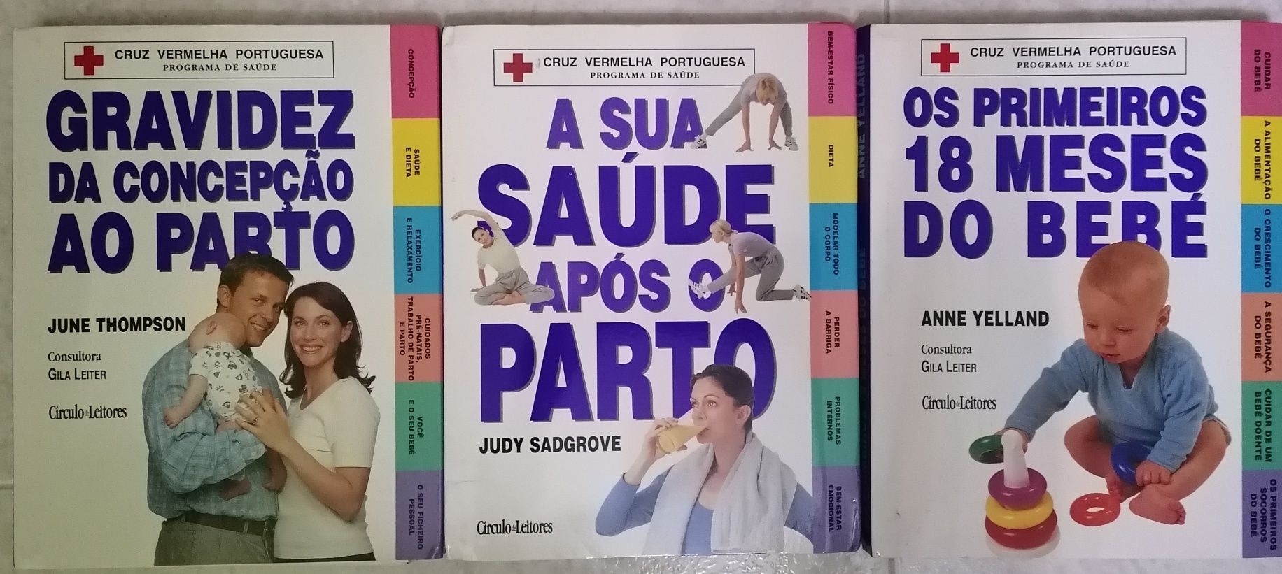 Conjunto de 3 livros sobre gravidez, parto e bebé