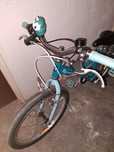 Bicicleta Junior 20"