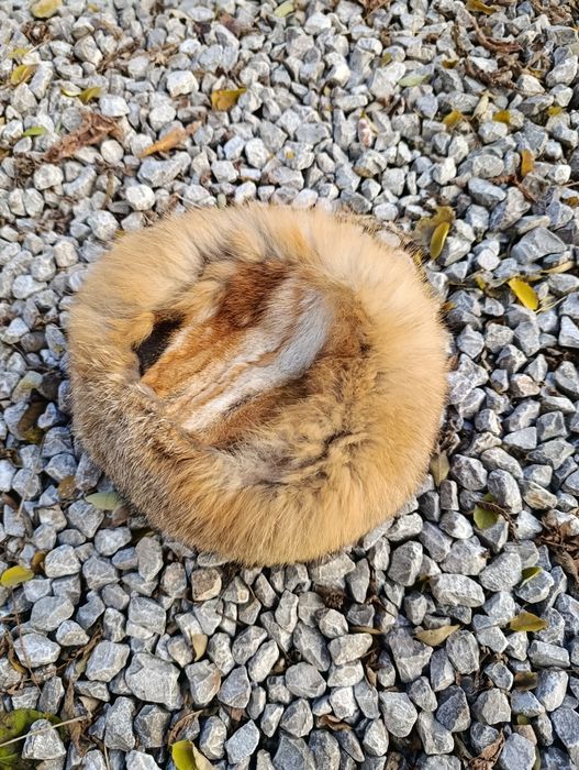 czapka z lisa naturalnego