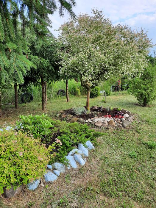 sprzedam działkę budowlana z miejscowym planem zagospodarowania