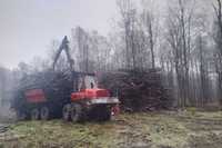 Wycinka / Karczowanie / Likwidacja sadów i samosiejek / Mulczowanie