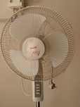 Ventoinha de pé eléctrica Quinta do Conde