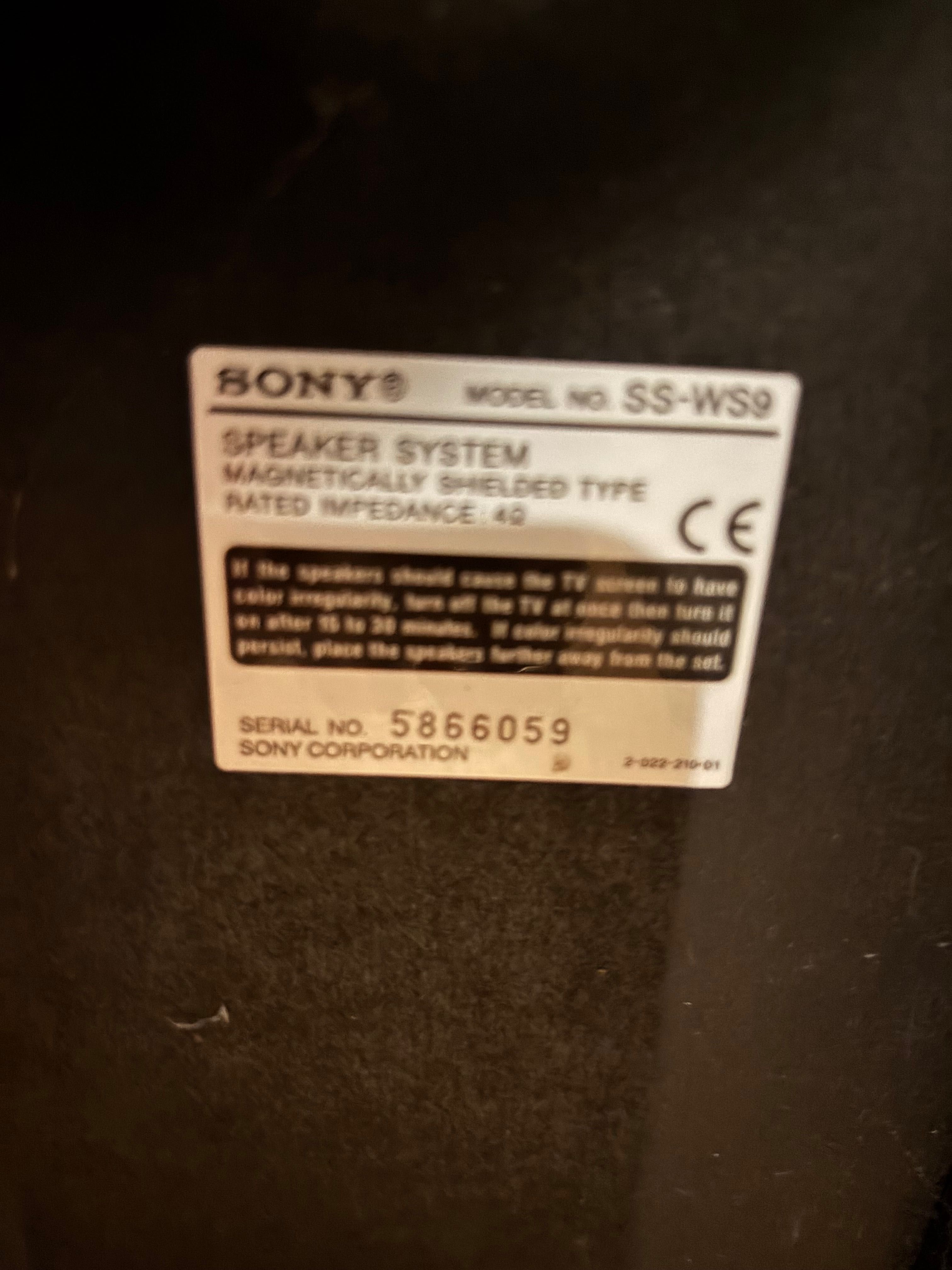 Conjunto de colunas Sony
