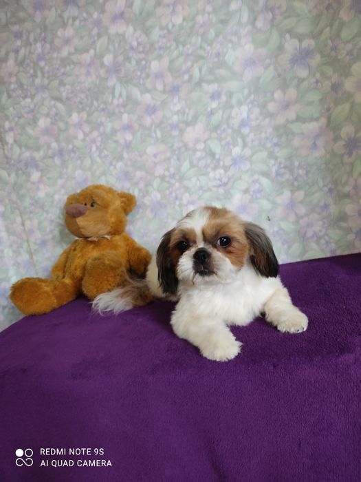 Продаёт мини девочка