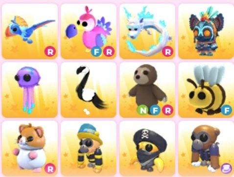 Пети адопт ми в гарному стані