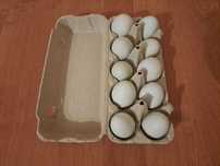 jajka - jaja zielone  mniejszy cholesterol ekologiczne - wolny wybieg
