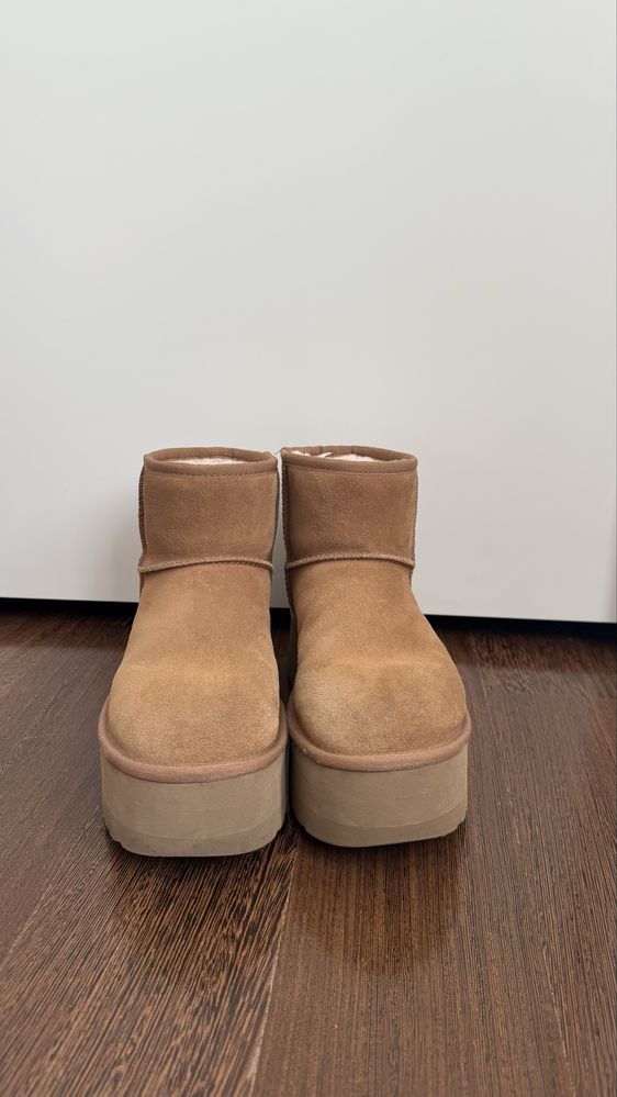 Угги чоботи зимові/осінні UGG жіночі, оригінал,
