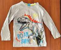 Bluza z dinozaurem 110 r
