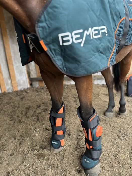 Bemer Horse zabiegi i najem