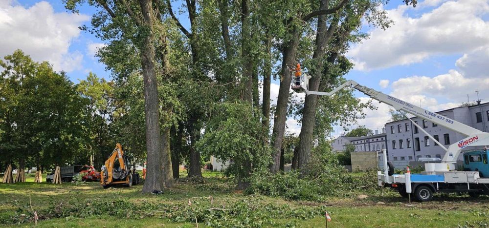 wycinka drzew odśnieżanie tereny zielone nasadzenia  wywrotka koparka