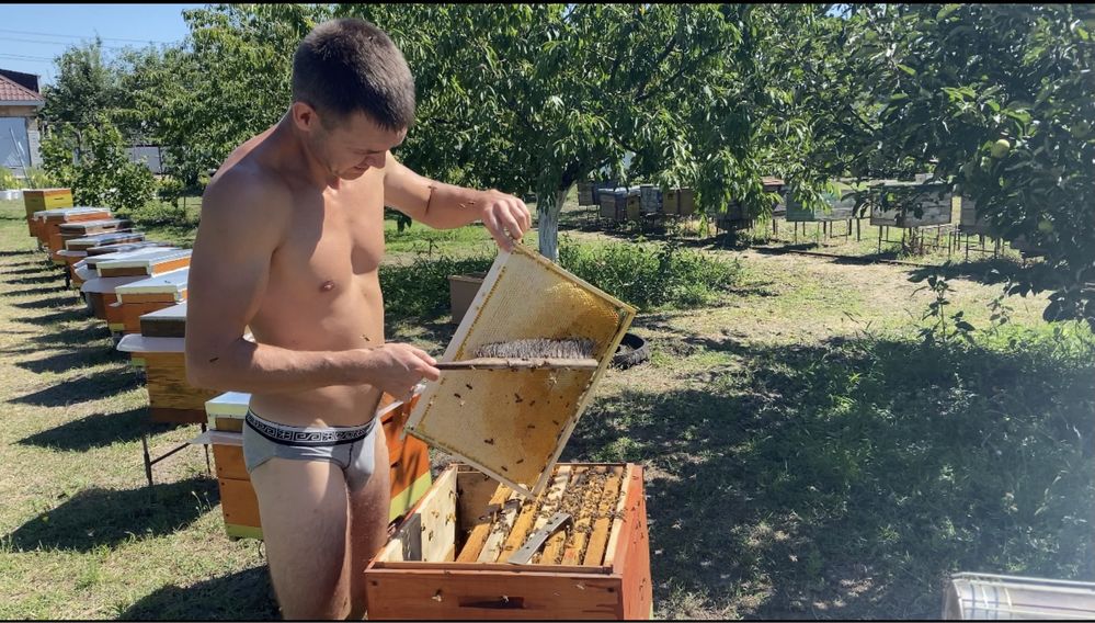 Спеціаліст,фахівець  бджоляр, пасічник.