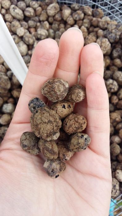 Keramzyt Ogrodniczy worek 80L Kamień do Ogrodu