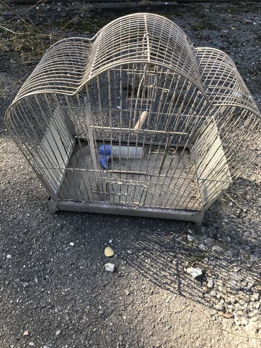 Кліточка для попугая