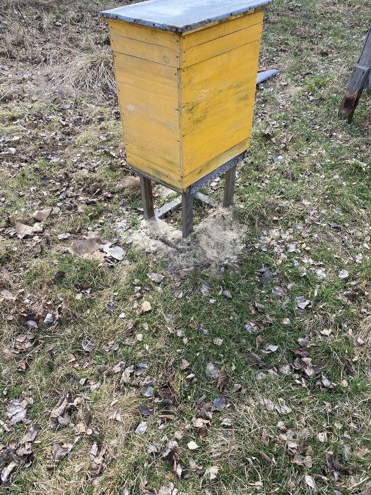Продам бджоло сімї