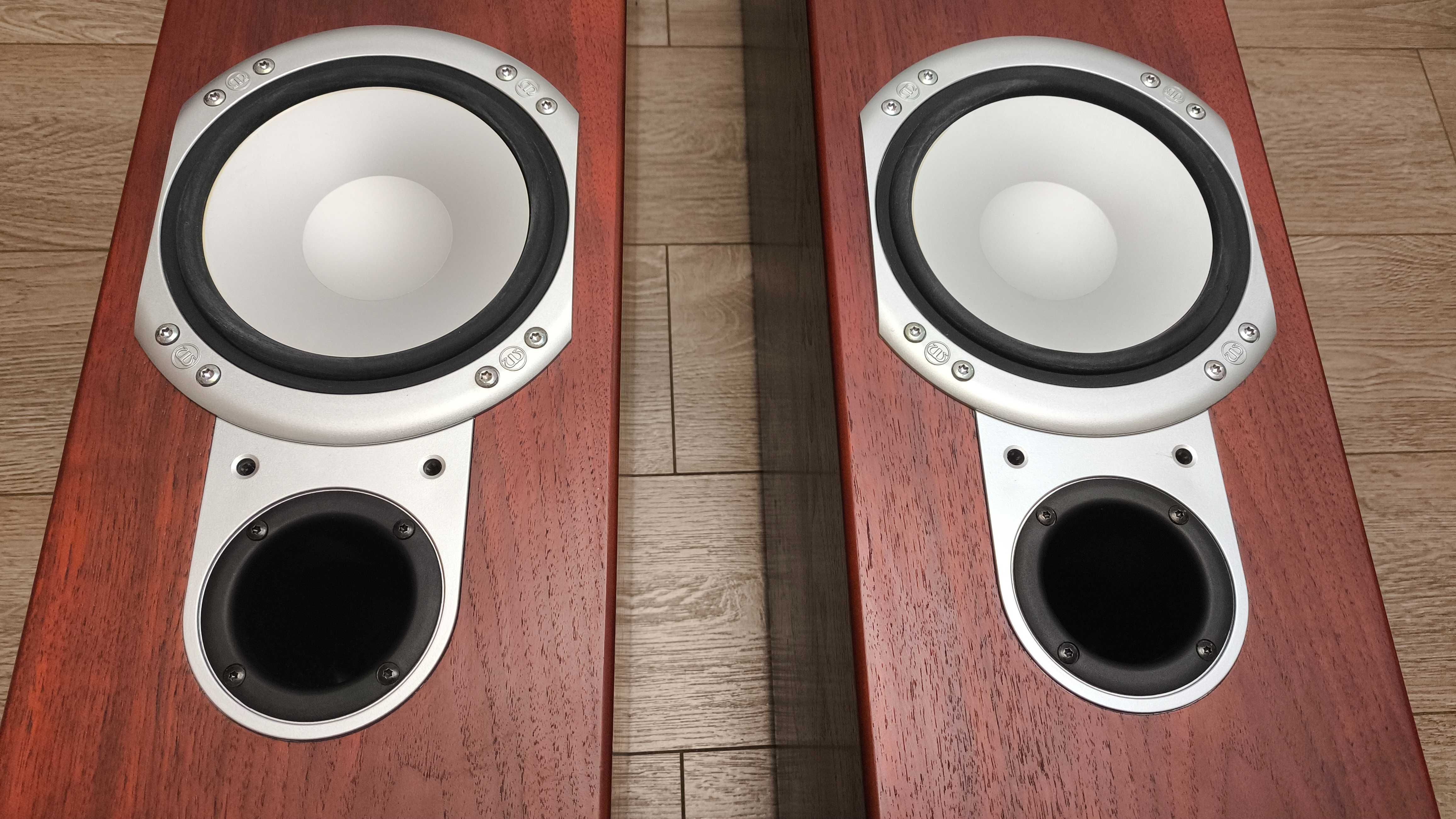 Hi-Fi напольна акустика Monitor Audio RS6 Rosewood