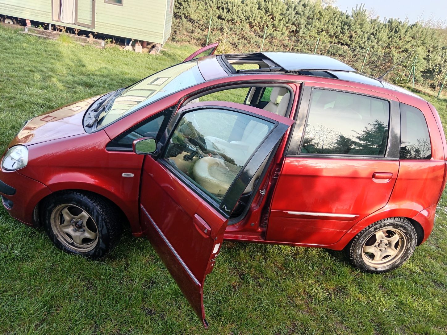 Lancia musa 2005