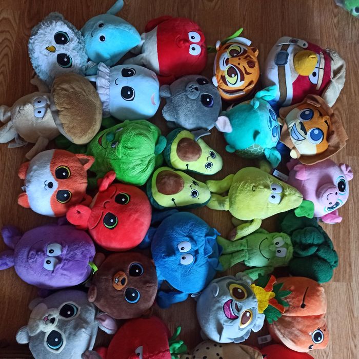 Świerzaki z biedronki