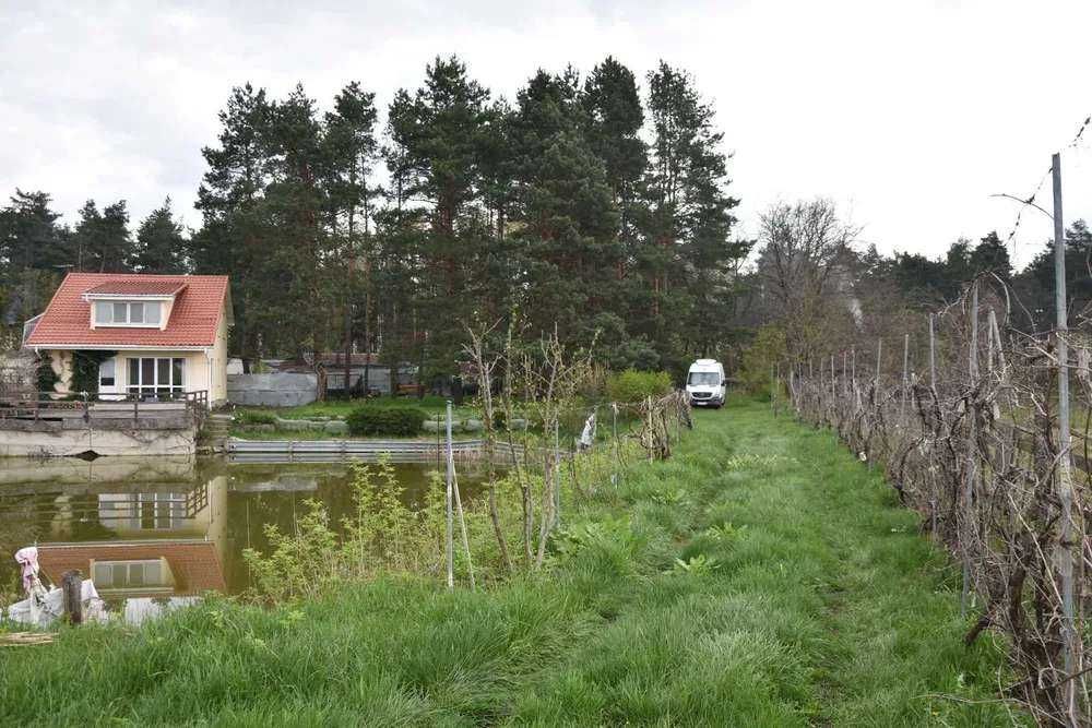 Власне озеро виноградники теплиця сад Бориспольскій р-н Вороньків