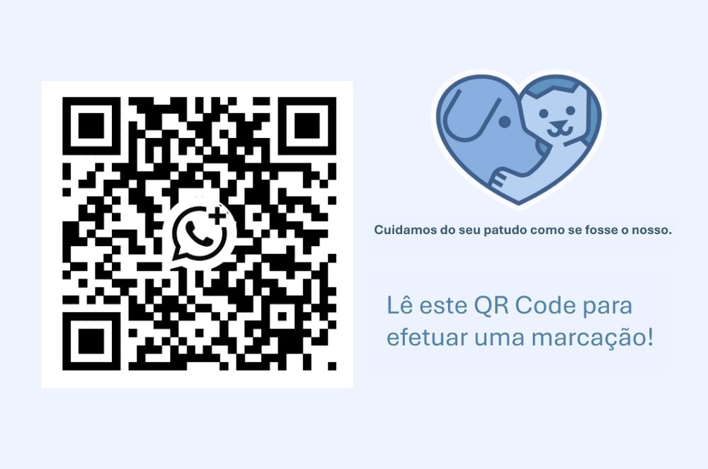 PetSitting RASantos - Cuidamos do seu animal de estimação!