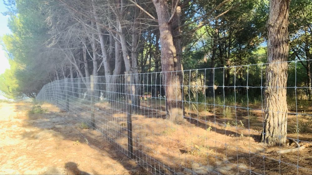 Vedacoes cercas Vedacao