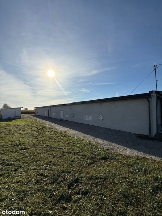 Atrakcyjna hala magazynowo-produkcyjna – sprzedaż lub wynajem